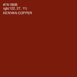 #7A1B0B - Kenyan Copper Color Image